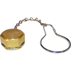 Dust Cap,w/Chain,347,RH-INT,BR