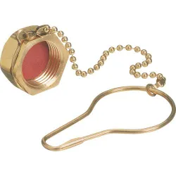 Dust Cap,w/Chain,580,Nitrogen, RH,EXT